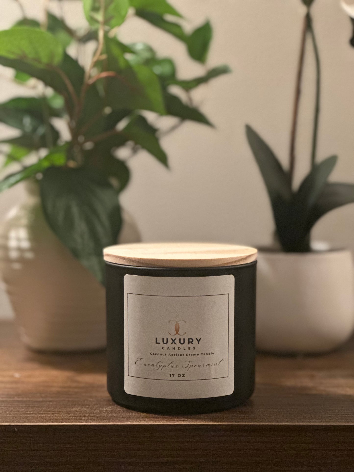 Eucalyptus Spearmint 170z Candle