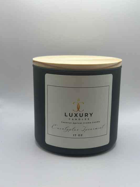 17oz  Eucalyptus Spearmint Candle