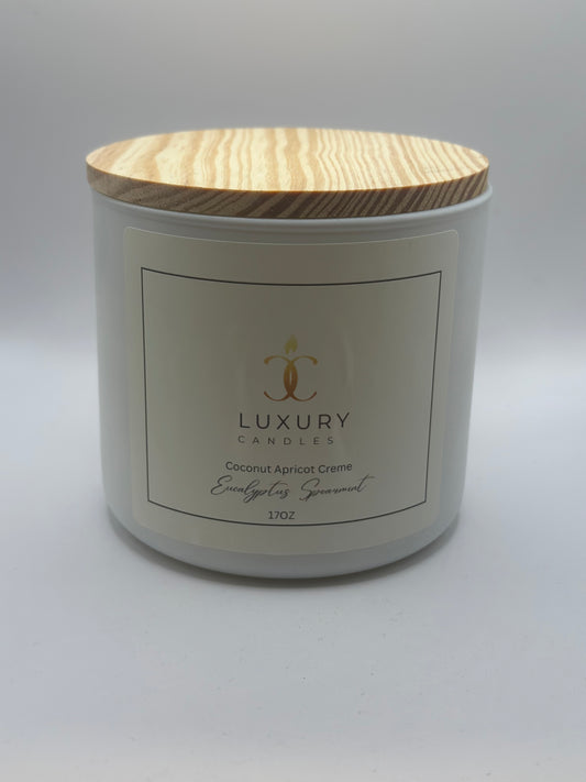 17oz Eucalyptus Spearmint Candle